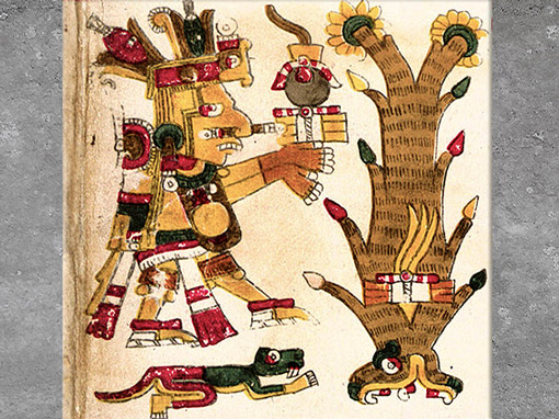 D’après le dieu du maïs Cinteotl, codex Borgia, manuscrit pictographique mixtèque, civilisation aztèque.  (Marsailly/Blogostelle)
