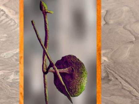 D'après le Nommo, fils du dieu suprême Amma, objet rituel en fer, culture Dogon, Mali, art africain. (Marsailly/Blogostelle)