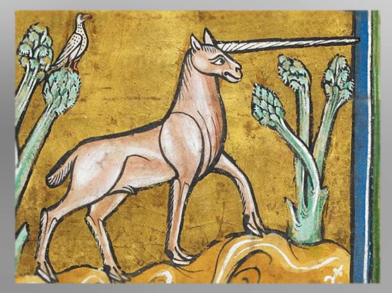D'après une Licorne, bestiaire de Rochester, XIIIe siècle, art médiéval. (Marsailly/Blogostelle)
