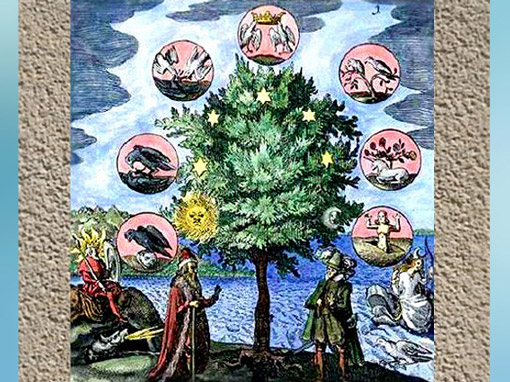 D'après un arbre alchimique, la correspondance entre les métaux et les planètes, XVIIe siècle. (Marsailly/Blogostelle)