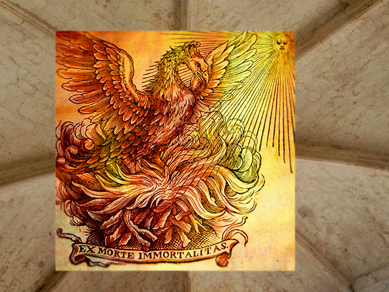 D'après le thème du phénix qui renaît de ses cendres. (Marsailly/Blogostelle)