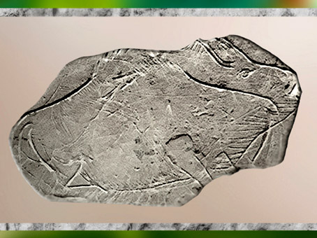 D'après un bison gravé sur plaquette, grotte d'Isturitz, Pyrénées, France, Magdalénien, paléolithique supérieur. (Marsailly/Blogostelle)