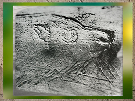 D'après un canidé gravé, bois de renne, style naturaliste, paléolithique supérieur. (Marsailly/Blogostelle)