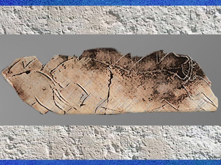 D'après La frise des lions, gravure sur os, grotte de La Vache, vers 11 000 avjc, magdalénien, France, paléolithique supérieur. (Marsailly/Blogostelle)