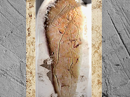 D'après un nu féminin, galet gravé, La Madeleine, magdalénien, Dordogne, France, paléolithique. (Marsailly/Blogostelle)