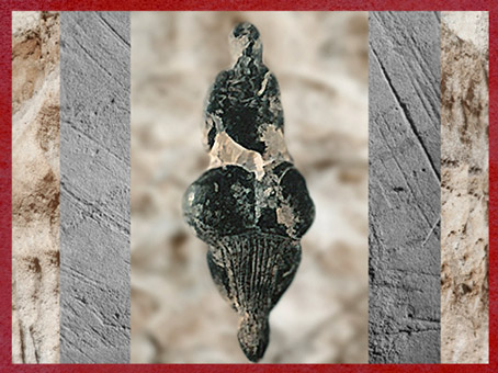 D'après la Vénus de Lespugue, vers 20 000 avjc, Haute-Garonne, France, Gravettien, paléolithique. (Marsailly/Blogostelle)