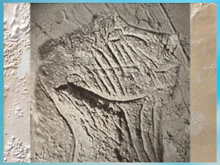 D'après une gravure sur bloc,  visage strié,,  magdalénien grotte de La Marche, France, paléolithique supérieur. (Marsailly/Blogostelle)