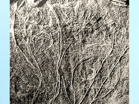 D'après des silhouettes humaines, gravure sur plaquette de schiste, site de Gönnersdorf, Allemagne, Magdalénien, paléolithique supérieur. (Marsailly/Blogostelle)