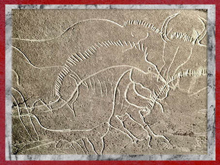 D'après un cheval et bison, gravure, grotte de Cussac, Dordogne, France, Gravettien, paléolithique supérieur. (Marsailly/Blogostelle)