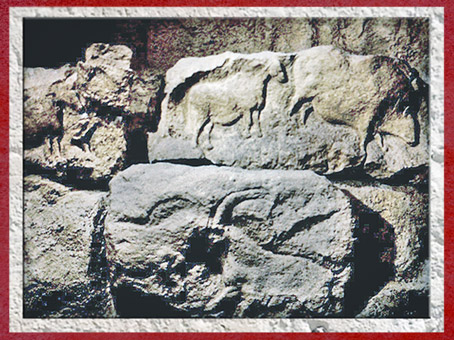 D'après des animaux sculptés, cheval, bison, bouquetin, Roc de Sers, Charente, Solutréen, France, paléolithique. (Marsailly/Blogostelle)