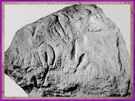 D'après des représentations vulvaires, bloc sculpté, aurignacien, abri-du-Cellier, Tursac, Dordogne, paléolithique supérieur. (Marsailly/Blogostelle)