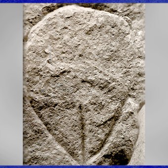 D'après un bloc gravé, représentation vulvaire, Tuc d'Audoubert, Ariège, France, paléolithique supérieur. (Marsailly/Blogostelle)