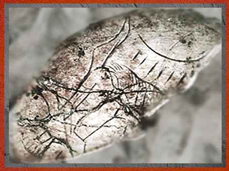 D'après une rondelle, détail, os incisé de graphismes, Mas-d'Azil, Ariège, magdalénien, France, paléolithique supérieur. (Marsailly/Blogostelle)