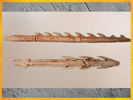 D'après des harpons, bois de renne, Mas-d'Azil, Ariège, Magdalénien, 18000-10000 avjc, France, Paléolithique supérieur. (Marsailly/Blogostelle)