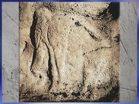 D'après un mammouth gravé, grotte de Saint-Front, Domme, Dordogne, France, solutréen, paléolithique supérieur. (Marsailly/Blogostelle)