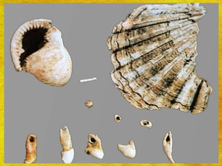 D'après des éléments de parure, dents de bovidé, de renne, de canidé, et coquillages perforés, paléolithique supérieur. (Marsailly/Blogostelle)