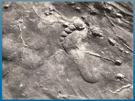 D'après l'empreinte fossilisée d'un pied nu, grotte de Fontanet, magdalénien, Ornolac-Ussat-les-Bains, Ariège, France paléolithique supérieur. (Marsailly/Blogostelle)