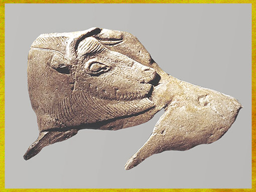 D'après le Bison à sa toilette, La Madeleine, France, magdalénien, 18000-10000 avjc, France, paléolithique supérieur. (Marsailly/Blogostelle)