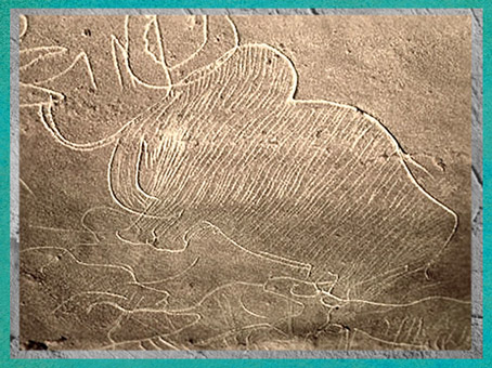 D'après un mammouth gravé, grotte de Cussac, Dordogne, vers 29500-28000 ans avjc, Gravettien, France, paléolithique supérieur. (Marsailly/Blogostelle)