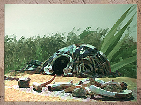 D'après la reconstitution d'un habitat-cabane, ossements, crâne et défenses de mammouth, Ukraine, paléolithique supérieur. (Marsailly/Blogostelle)