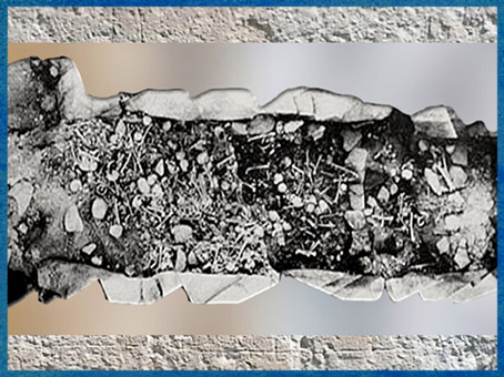 D'après une sépulture collective, 2700-2200 avjc, La Chaussée Tirancourt, Somme, France, néolithique. (Marsailly/Blogostelle)