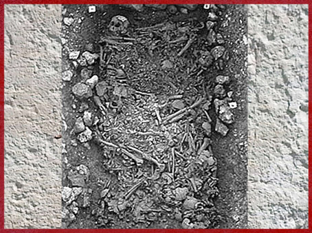 D'après une sépulture collective, Yonne, France, néolithique. (Marsailly/Blogostelle)