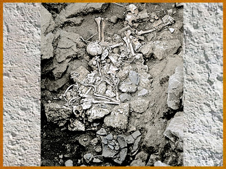 D'après une sépulture collective, village de Champ-Durand, Nieul-sur-l'Autise Vendée, France, néolithique. (Marsailly/Blogostelle)