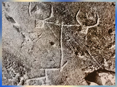 D'après un attelage de bovidés, art rupestre, mont Bego, Vallée des Merveilles, fin IIIe-début IIe millénaire avjc, Alpes Maritimes, âge du Cuivre et du Bronze. (Marsailly/Blogostelle)