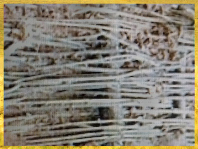 D'après une palissade en roseau et torchis, France, néolithique. (Marsailly/Blogostelle)