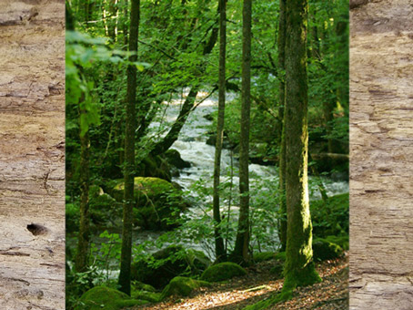 D'après les forêts de la Gaule celtique, qui favorisent l'épanouissement des forges gourmandes en bois. (Marsailly/Blogostelle)