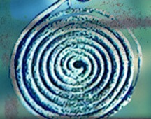 D'après le détail d'une fibule, art celte, civilisation de Hallstatt, vers 750 à 450 avjc, premier âge du Fer. (Marsailly/Blogostelle)