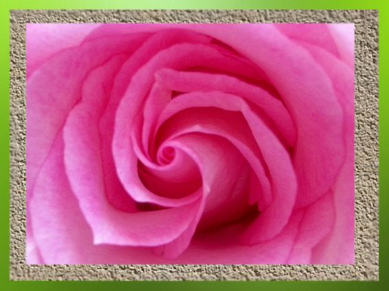 D'après le mouvement végétal en spirale, au cœur de la Rose... (Marsailly/Blogostelle)