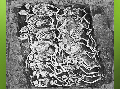 D'après une sépulture de cavaliers gaulois inhumés avec leurs chevaux, Auvergne, Gaule Celtique, âge du Fer. (Marsailly/Blogostelle)