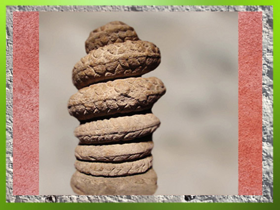 D'après le Serpent mithriaque aux Sept spires, 7 planètes et 7 jours, IIIe siècle apjc, Gaule Romaine, Bordeaux, France. (Marsailly/Blogostelle)