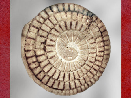 D’après le Jeu du serpent Mehen, albâtre coloré à l’origine de pigments, IIIe-VI dynasties, Ancien Empire, Égypte Ancienne. (Marsailly/Blogostelle)