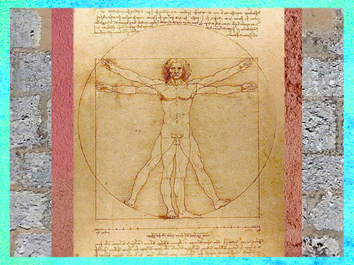 D’après Étude de proportions du corps humain selon Vitruve, Léonard de Vinci, dessin à la plume, XVIe siècle, Gallerie dell'Accademia, Venise, Italie. (Marsailly/Blogostelle)