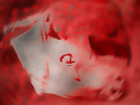 D'après le thème de l’Asvamedha,  sacrifice royal et cosmogonique, période védique, Inde ancienne. (Marsailly/Blogostelle)