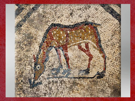 D'après le faon, motif central, détail, pavement en mosaïque, Uzès, antique Ucetia, Ier siècle avjc, Gard, France, Gaule Romaine. (Marsailly/Blogostelle)