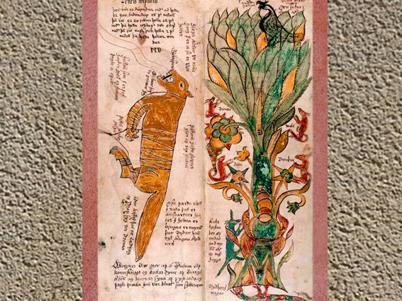 D'après le Loup Fenrir, associé à Odhin, l'Arbre Yggdrasil, l'Aigle, la vipère, XVIIe siècle, Islande. (Marsailly/Blogostelle.)