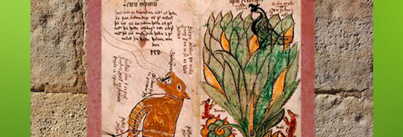 D'après le Loup Fenrir et l'Arbre cosmique Yggdrasil. (Marsailly/Blogostelle)