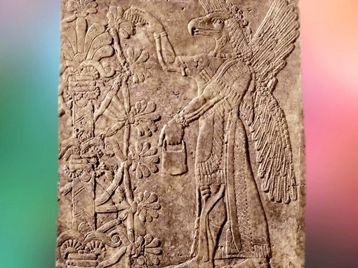 D'après l'Arbre Sacré et une déité ailée, relief du IXe siècle avjc, palais du roi Assurnazirpal II Mésopotamie, Irak. (Marsailly/Blogostelle)