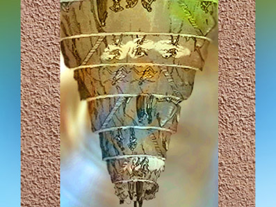 D’après les Deux Arbres à l'Envers de la Divine Comédie, image anonyme. (Marsailly/Blogostelle)