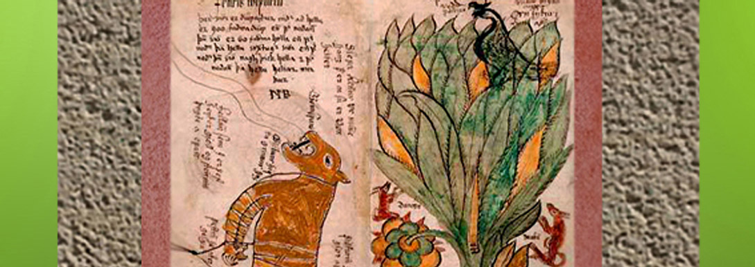 D'après le symbolisme de l'arbre, histoire du sacré. (Marsailly/Blogostelle)