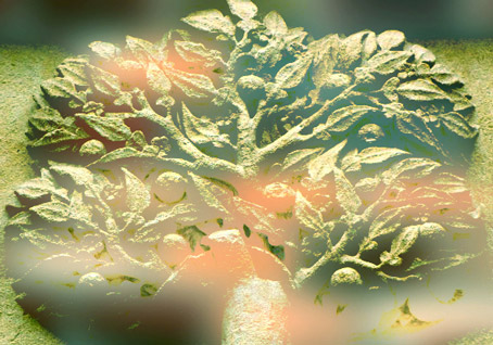 D'après le reflet dans le monde des symboles, qui correspond à une vision indirecte de la réalité... (Marsailly/Blogostelle)