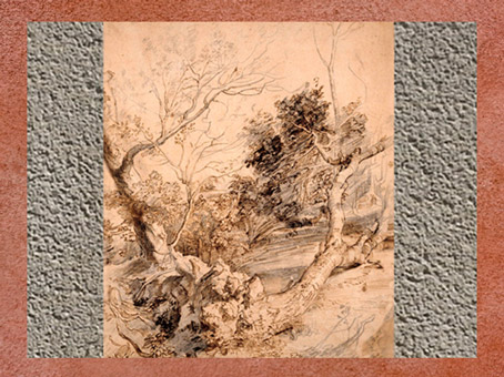 D'après une étude d'arbres, Pierre Paul Rubens, XVIIe siècle. (Marsailly/Blogostelle)