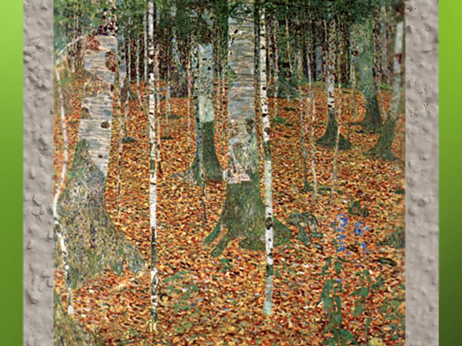 D’après le Bois de Bouleaux de Gustav Klimt, 1903, Vienne, Autriche (Marsailly/Blogostelle)