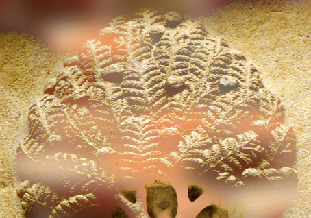 Dans l’Inde ancestrale, l'arbre sacré symbolise la manifestation du Brahman. (Marsailly/Blogostelle)