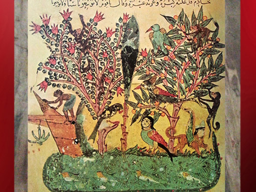 D'après L'île d'Orient et ses arbres, Maqâmât, les "Séances" d'al-Harîrî, enluminées par Yahyâ b. Mahmûd al-Wâsitî, 1237, Bagdad., XIIIe siècle, art médiéval arabe. (Marsailly/Blogostelle)