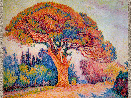 D'après Le Pin, Paul Signac, Saint-Tropez, 1909, début XXe siècle, France. (Marsailly/Blogostelle)