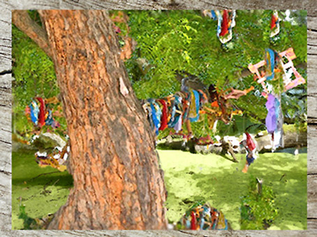 D'après les rituels de fertilité en Inde. Les femmes accrochent des morceaux de tissus sur un arbre... (Marsailly/Blogostelle)